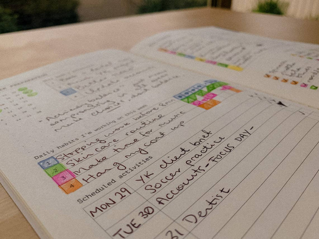 Fast Brain Daily Productivity Planner- Single Notebook: Sage