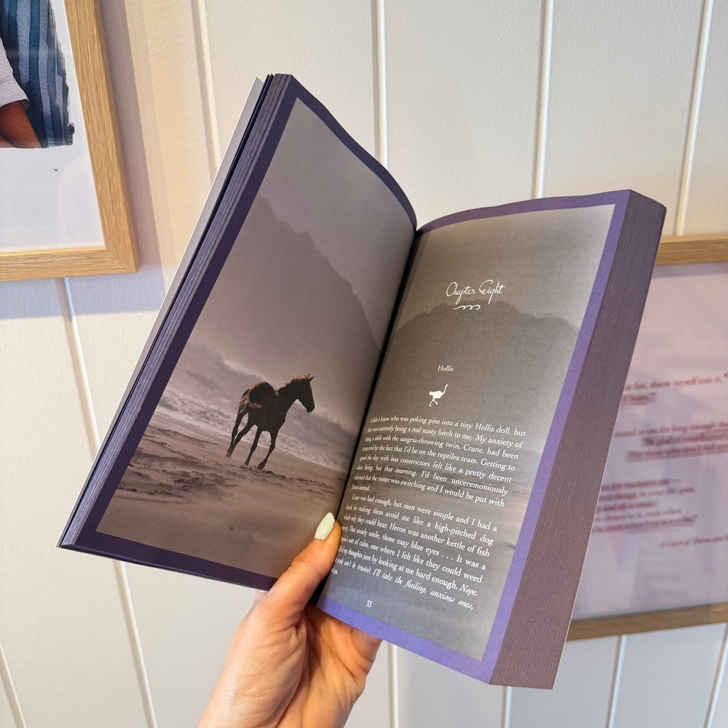 Hold Your Horses: Book 5 Prickle Island Zoo Series Special Edition