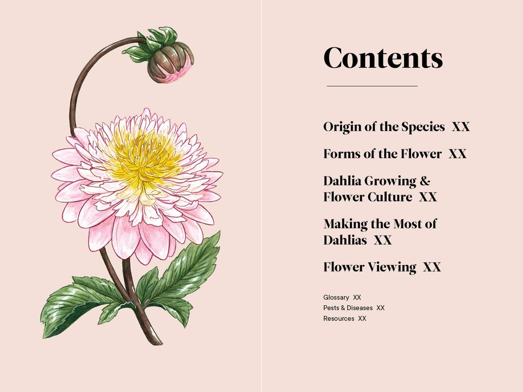Dahlias: A Little Book of Flowers