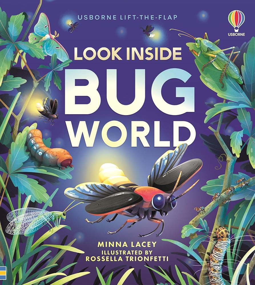 Look Inside Bug World: Usborne Lift-the-flap cover image