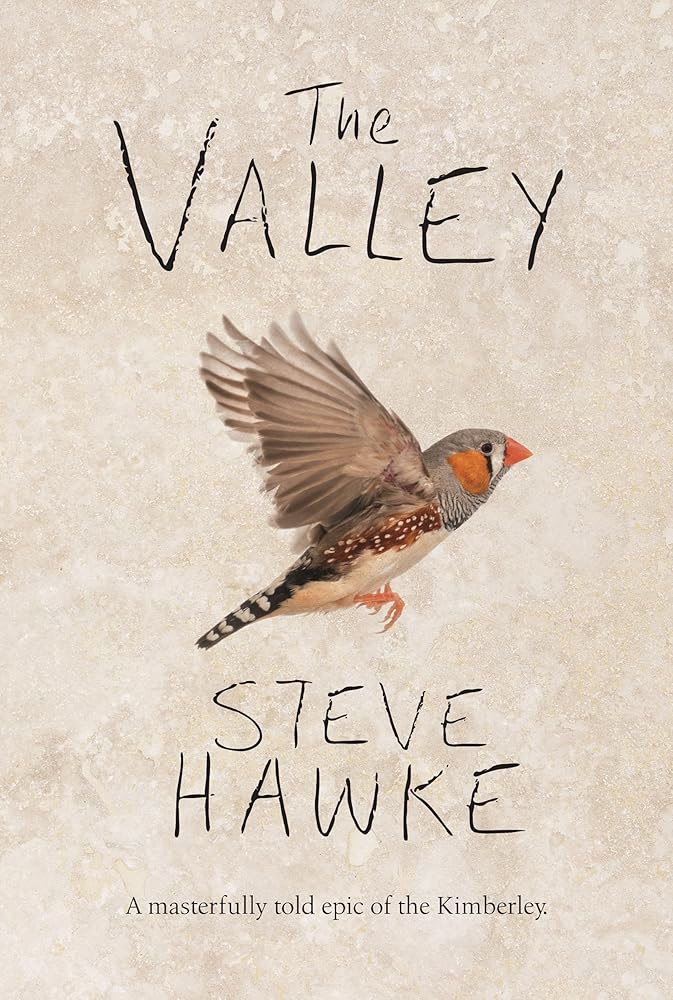 The Valley cover image