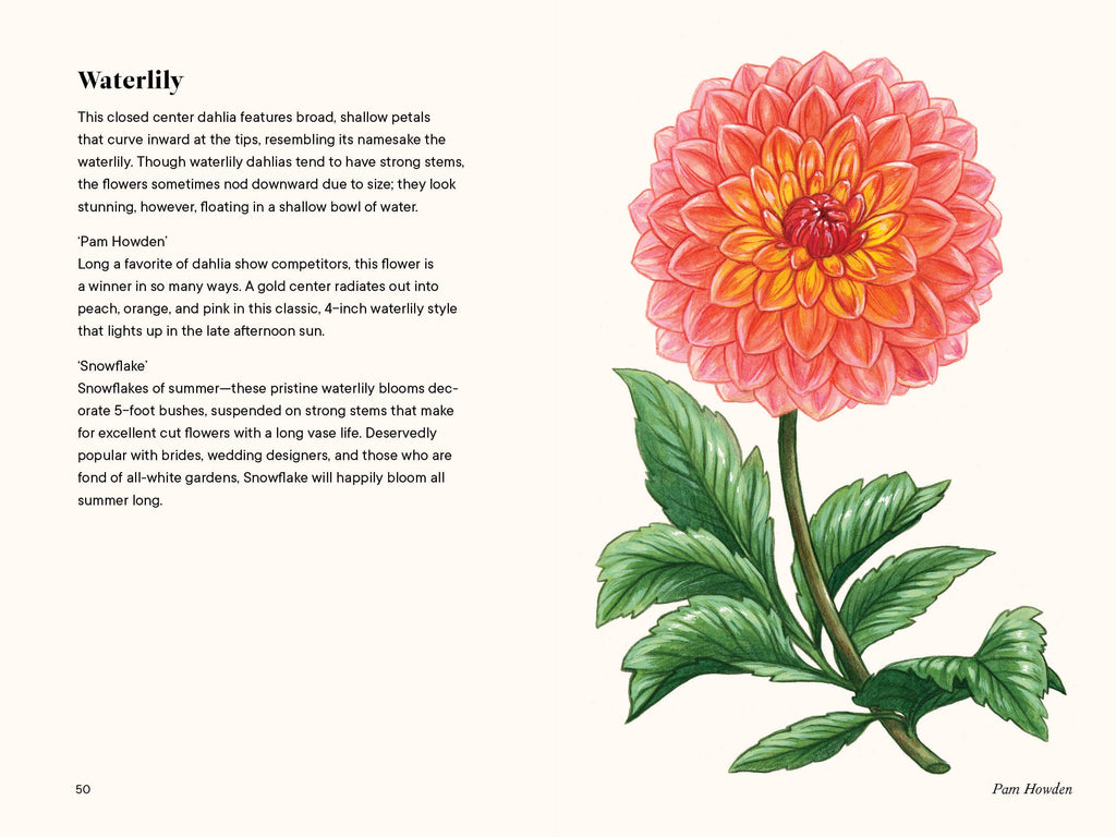 Dahlias: A Little Book of Flowers