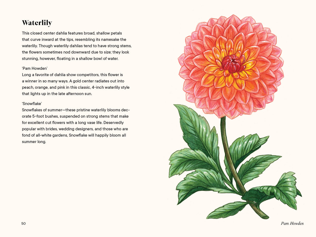 Dahlias: A Little Book of Flowers