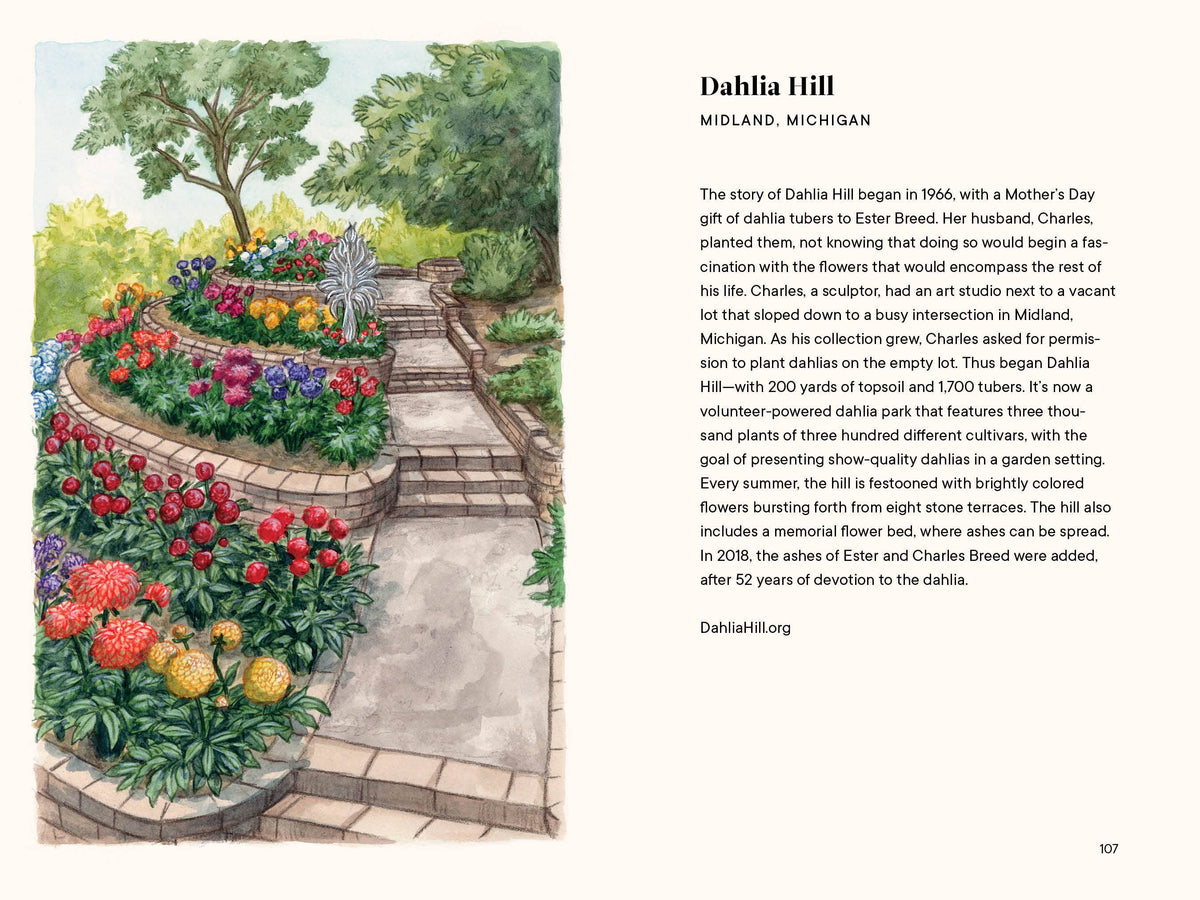 Dahlias: A Little Book of Flowers