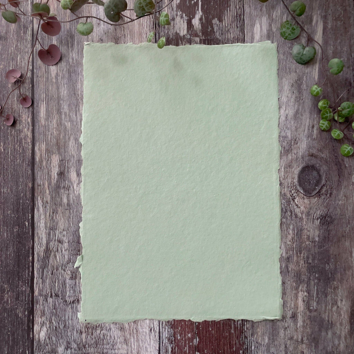 Dusky Green Handmade Paper | Pack of 5 | Recycled Cotton Rag: A4 - Single Sheet