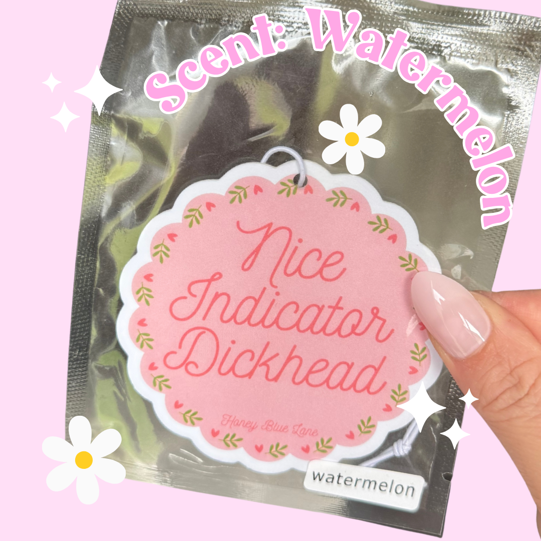 Nice Indicator Air Freshener (Quirky, Funky, Kawaii,Y2K)