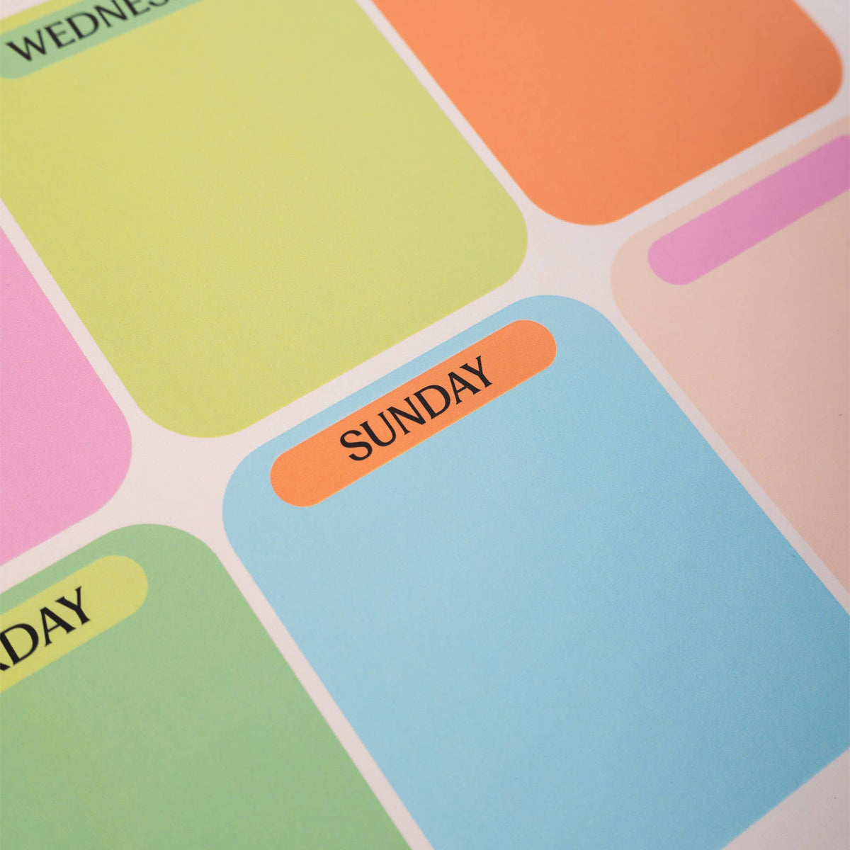 Citrus Splash | A4 Weekly Fridge Magnet